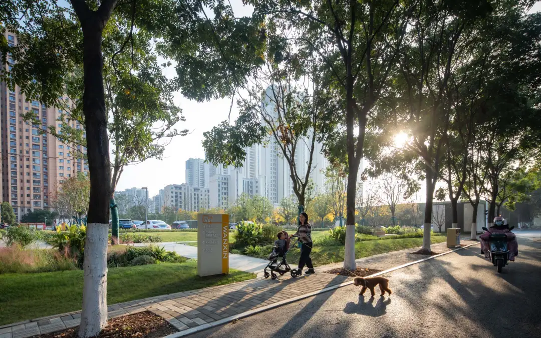 1735782851132654.jpg 1735782836636.jpg