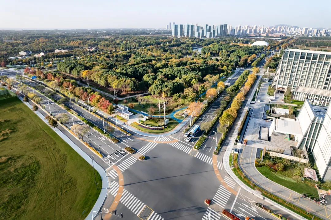 1735784112132085.jpg 1735784093924.jpg