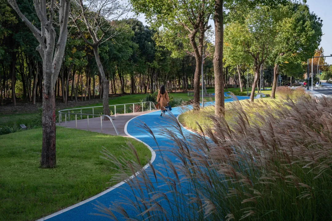 1735784116527309.jpg 1735784096876.jpg