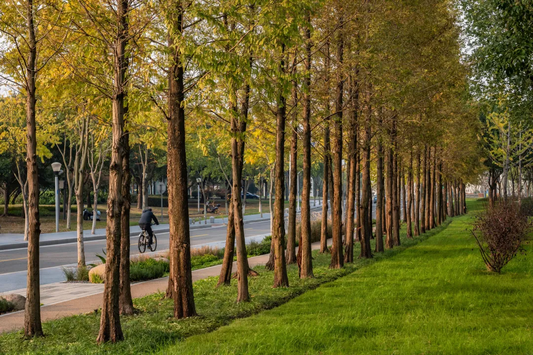 1735784203617271.jpg 1735784177329.jpg