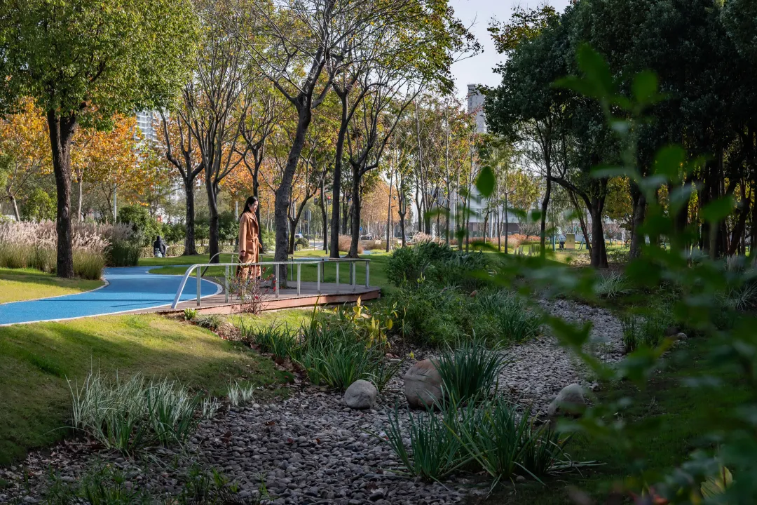 1735787149930469.jpg 1735787119562.jpg