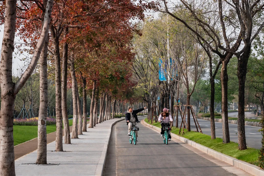 1735787233138732.jpg 1735787207755.jpg