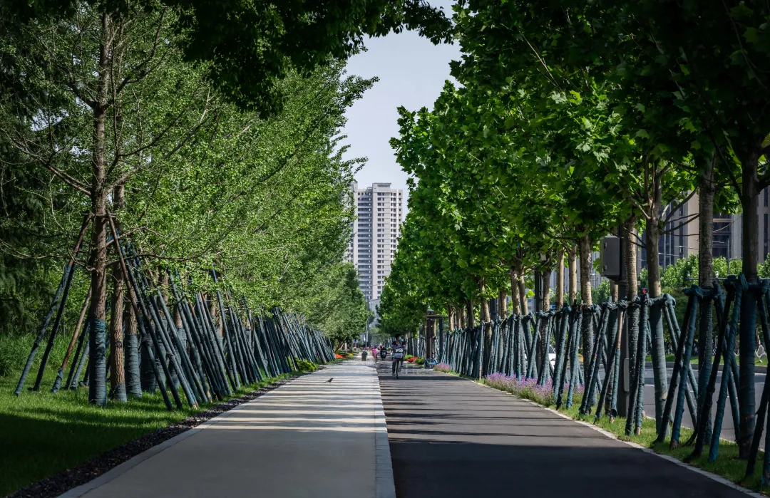 1735789121936197.jpg 1735789108969.jpg