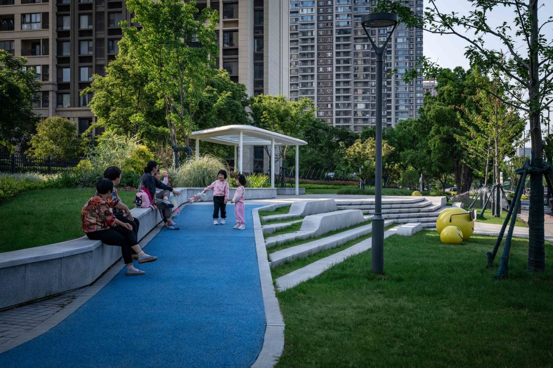 1735789256112292.jpg 1735789220922.jpg