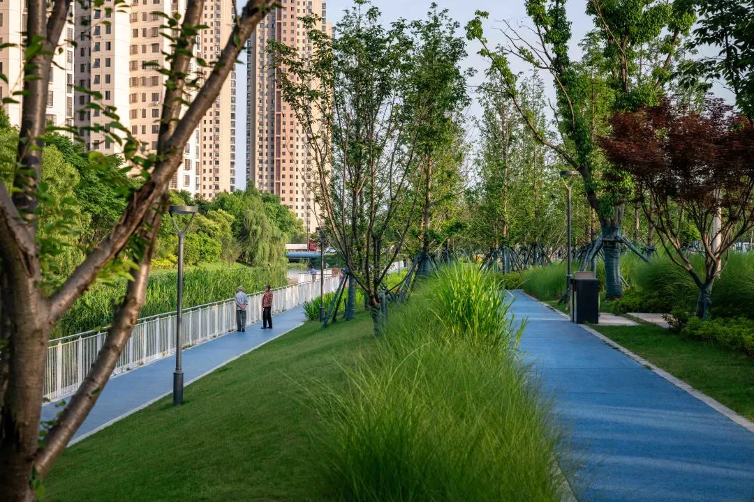 1735789293128866.jpg 1735789279676.jpg