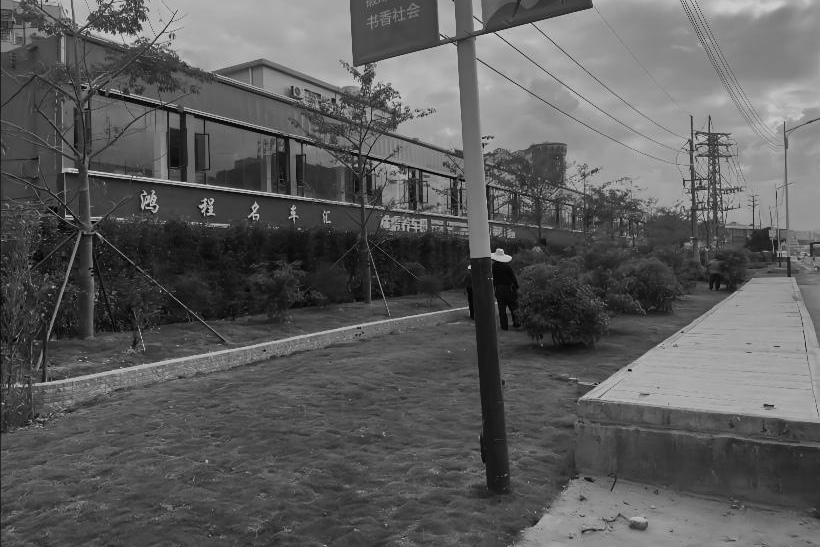 1735797857193849.jpg 1735797845876.jpg