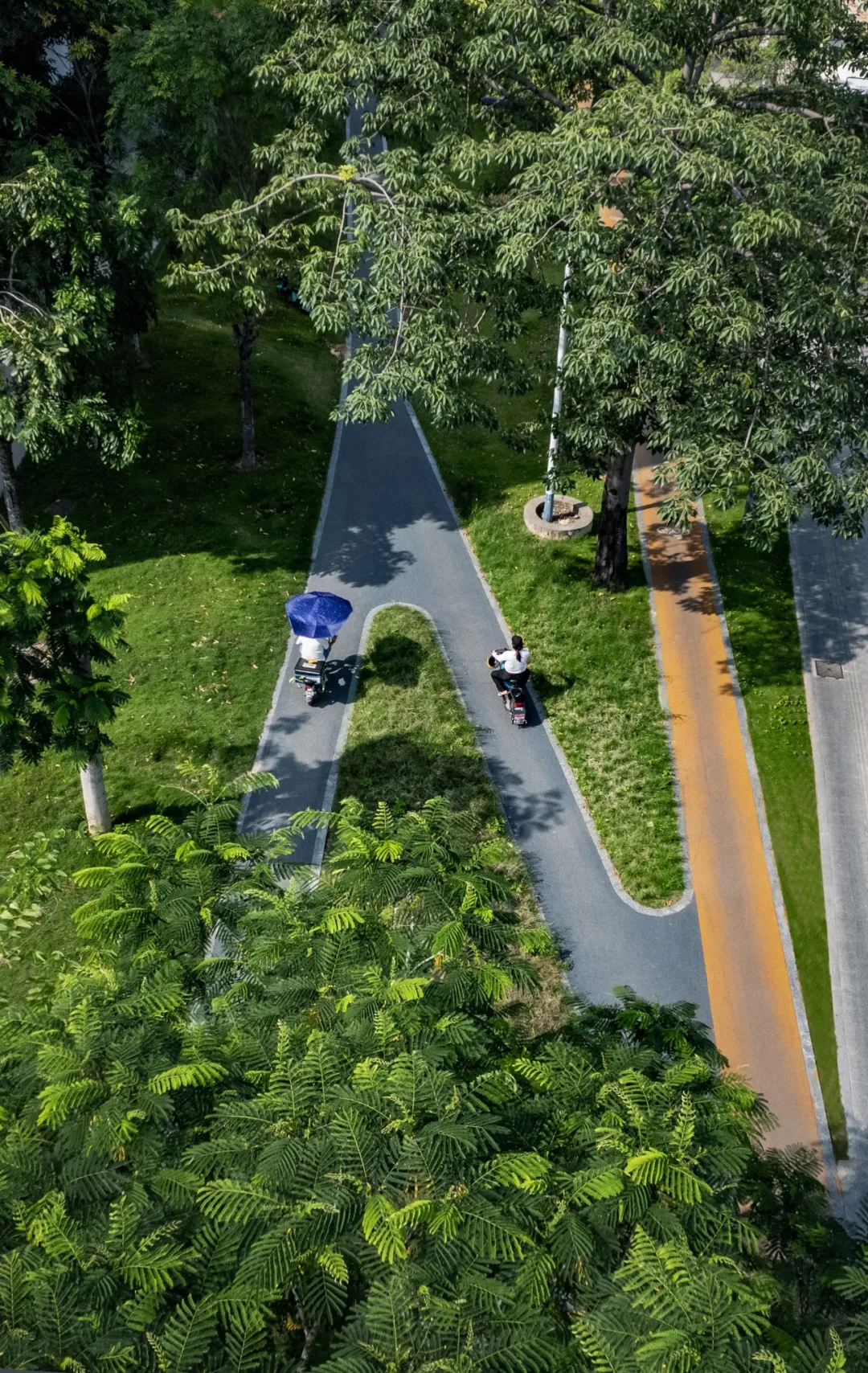 1735797934988024.jpg 1735797921356.jpg