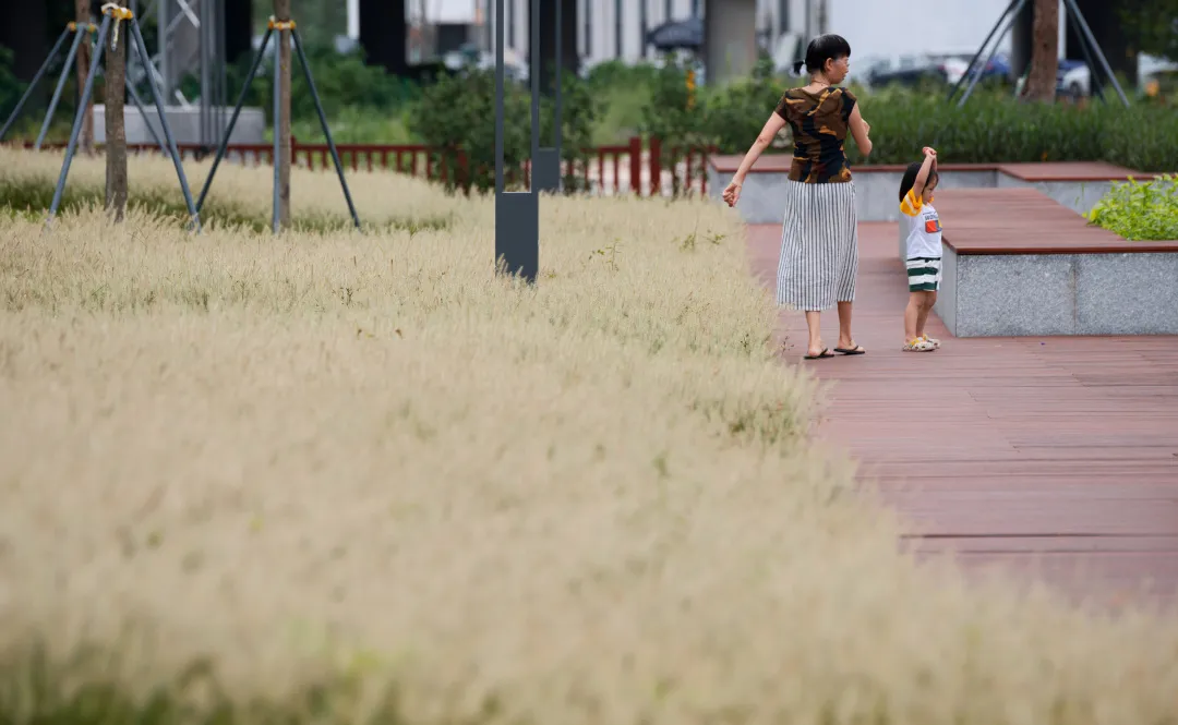 1735797960674481.jpg 1735797944584.jpg