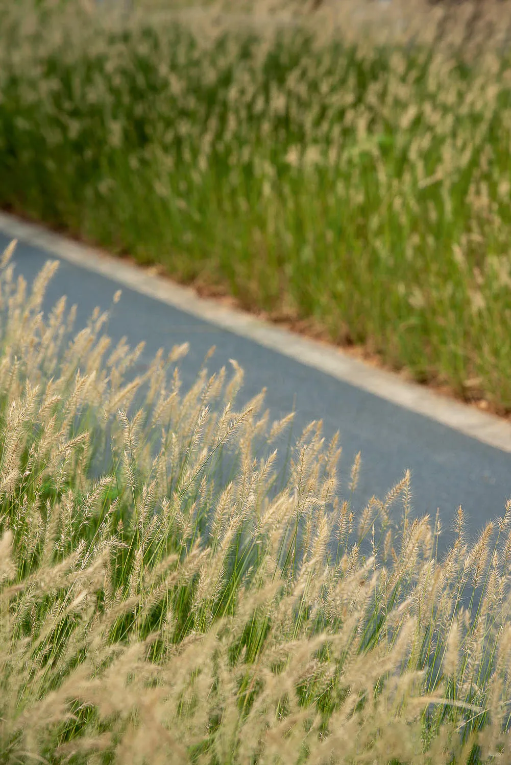 1735797982167338.jpg 1735797971065.jpg