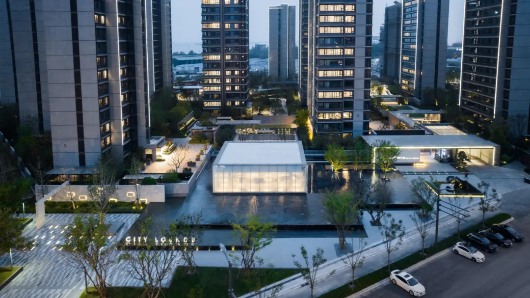 1735867876112876.jpg 1735867872983.jpg