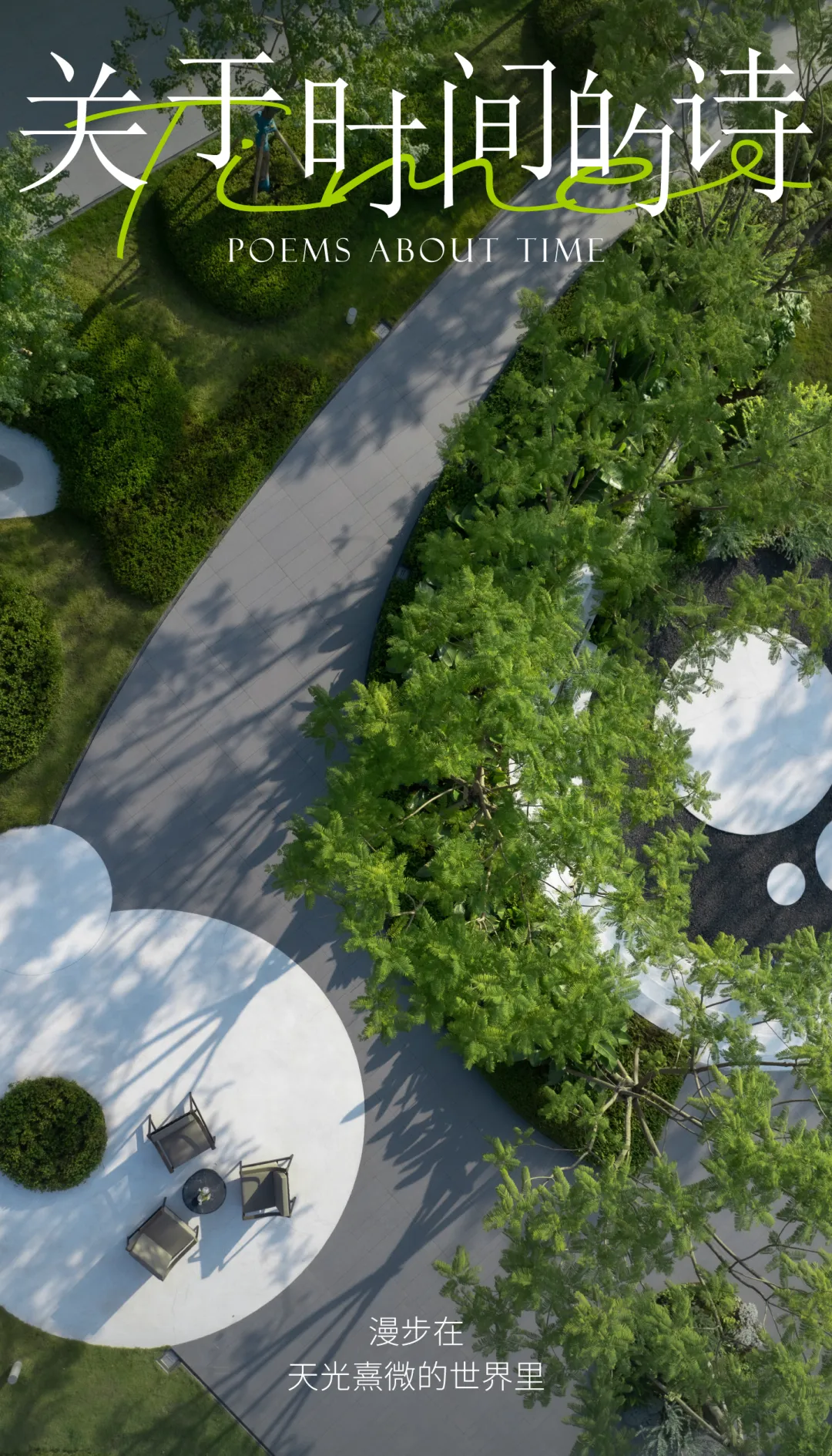 1736750579101593.jpg 1736750550709.jpg