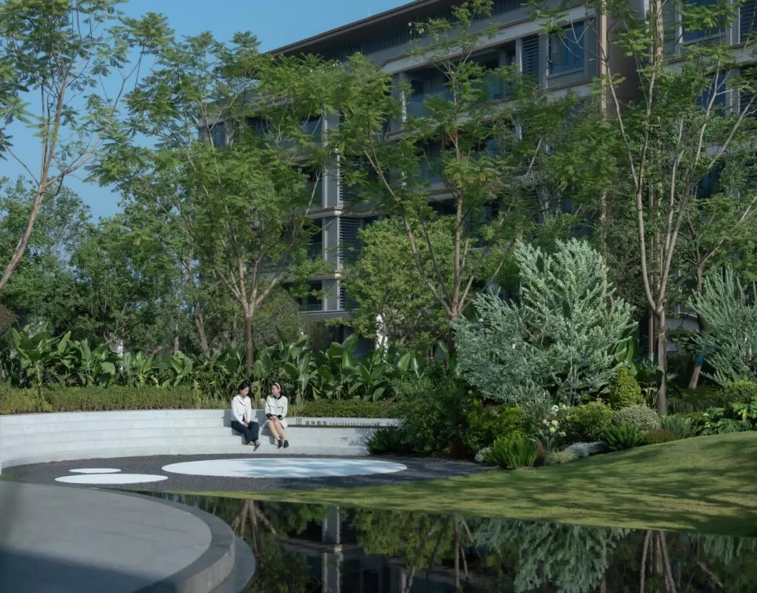 1736750826169232.jpg 1736750809431.jpg