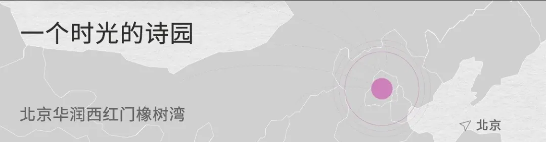 1736752076137674.jpg 1736752051405.jpg