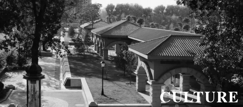 1736752094167230.jpg 1736752086438.jpg