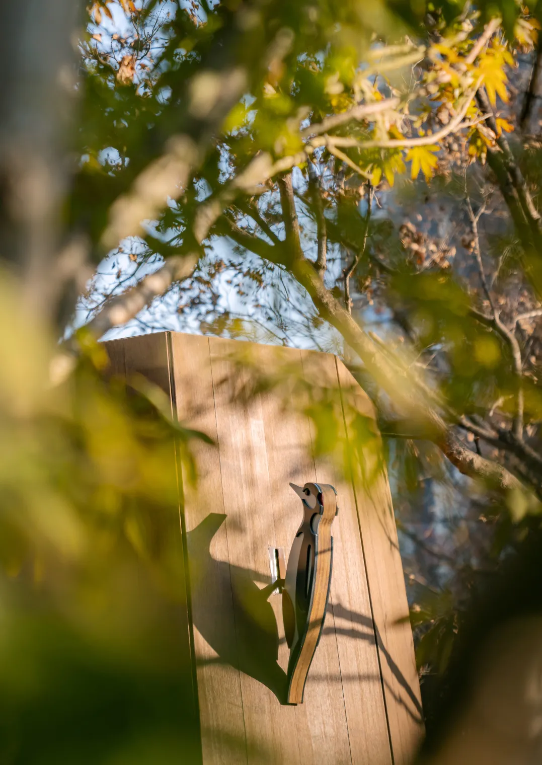 1736752641211339.jpg 1736752625379.jpg