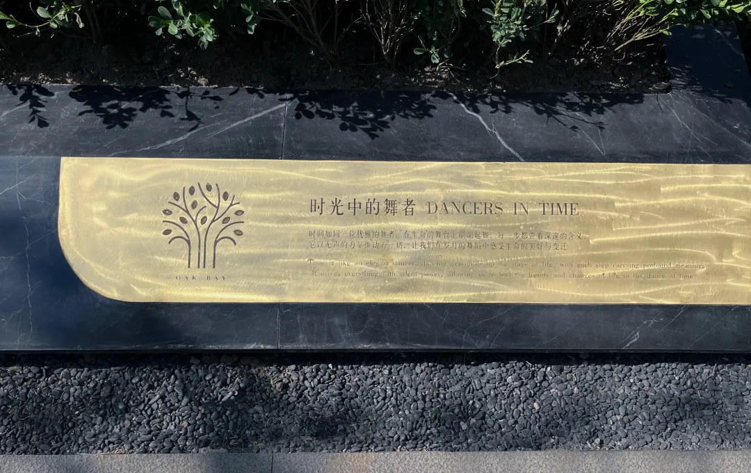 1736752794991862.jpg 1736752759506.jpg