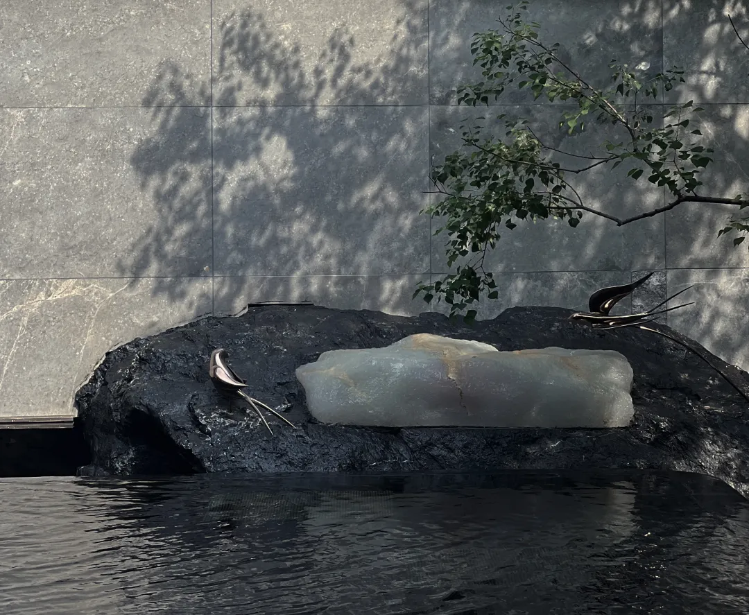 1736908717743290.jpg 1736908679891.jpg