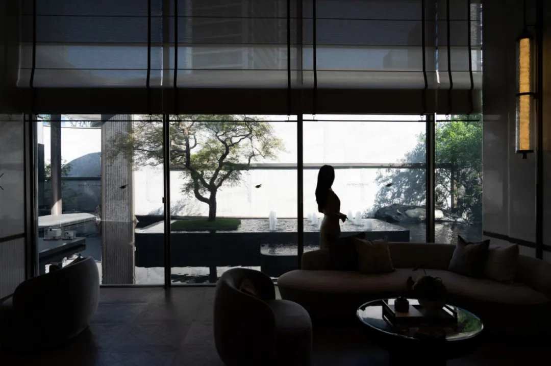 1736908751153685.jpg 1736908728804.jpg