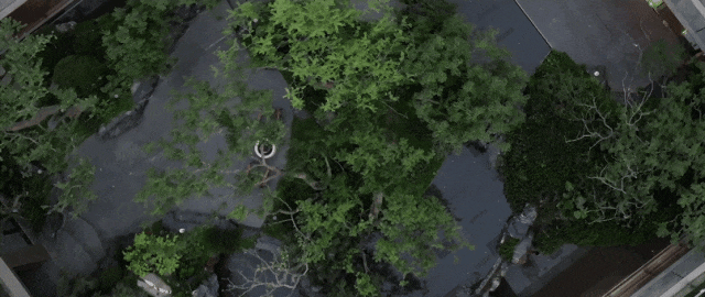 1736908763189866.jpg 1736908740948.jpg