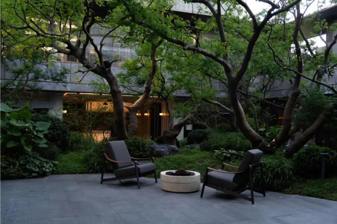 1736908808113044.jpg 1736908787002.jpg