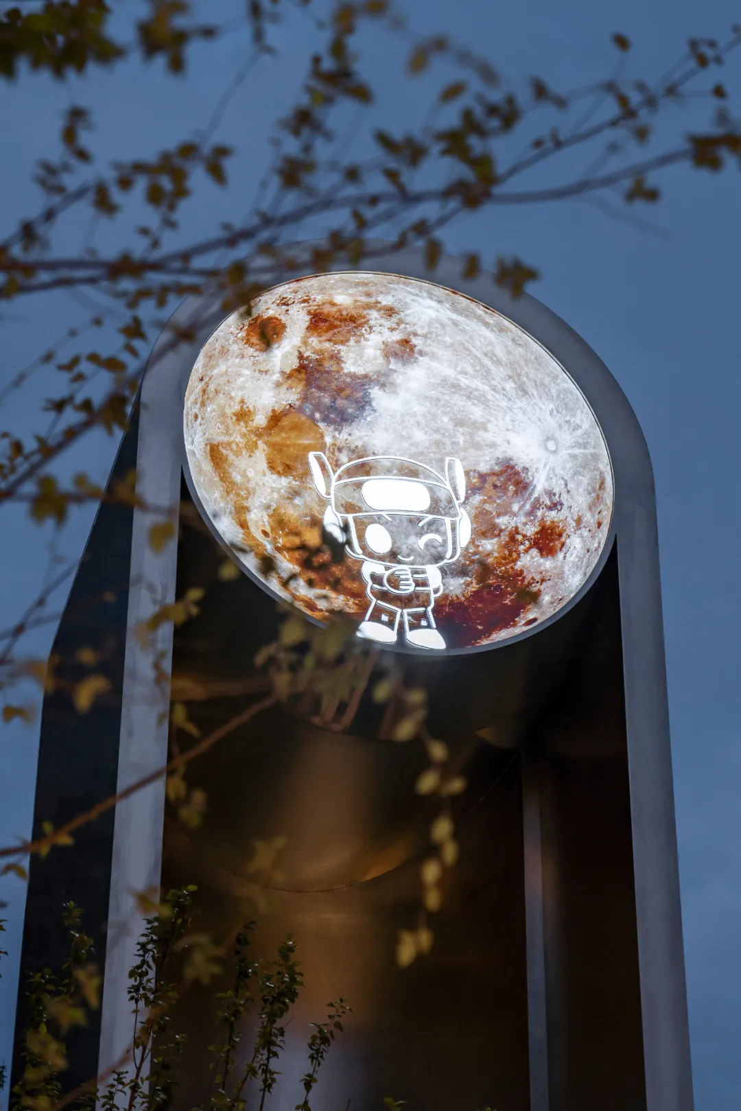 1736923036951207.jpg 1736923025528.jpg