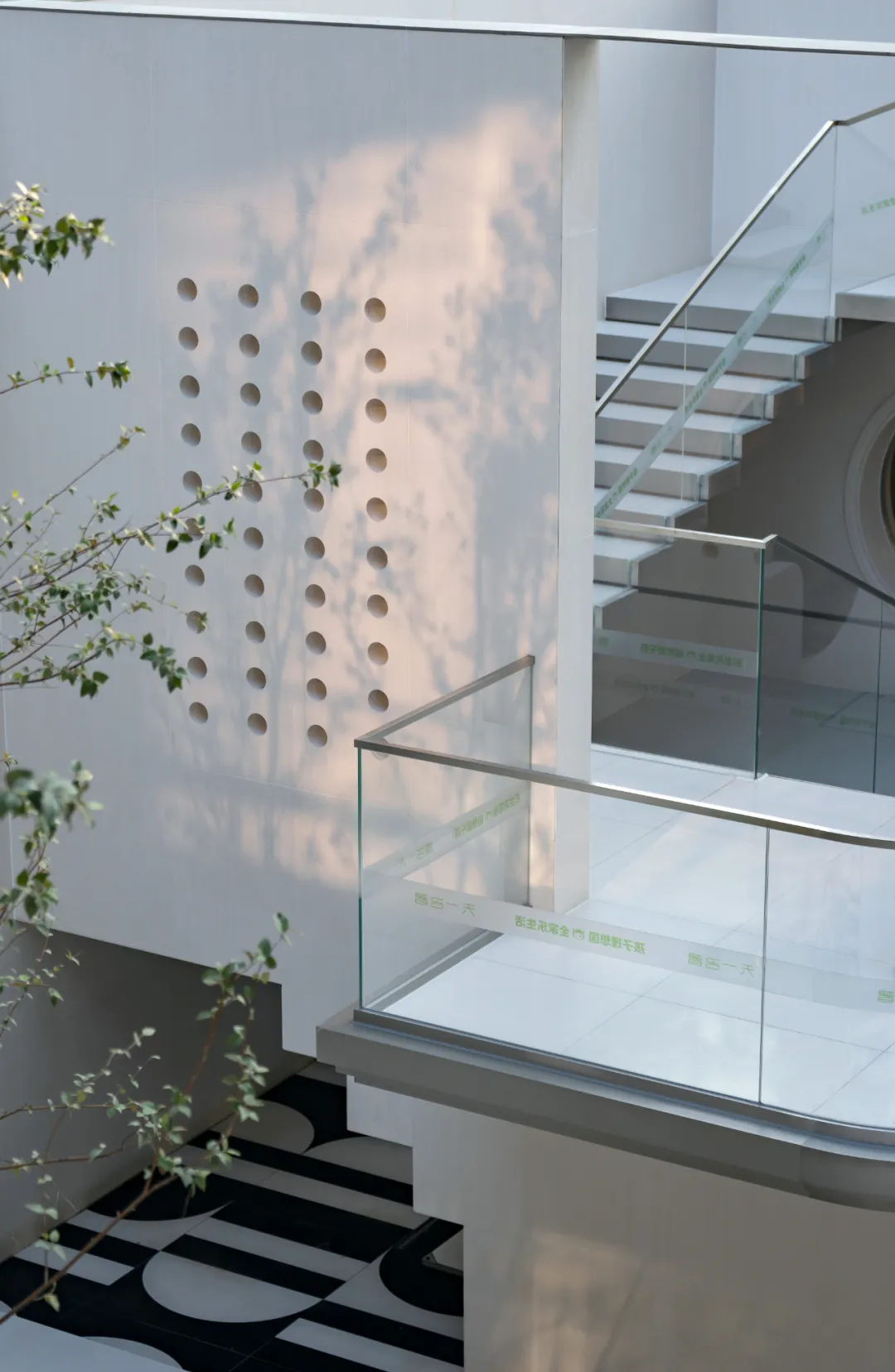 1736923085904692.jpg 1736923067307.jpg