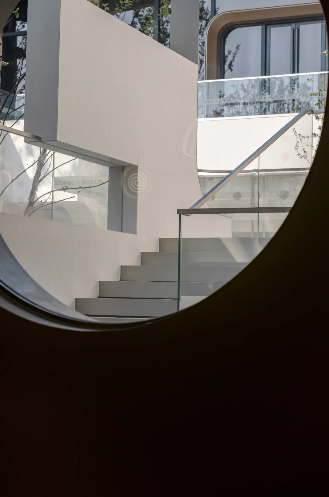 1736923097166198.jpg 1736923069496.jpg