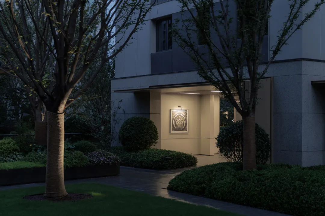 1737096961226126.jpg 1737096932758.jpg