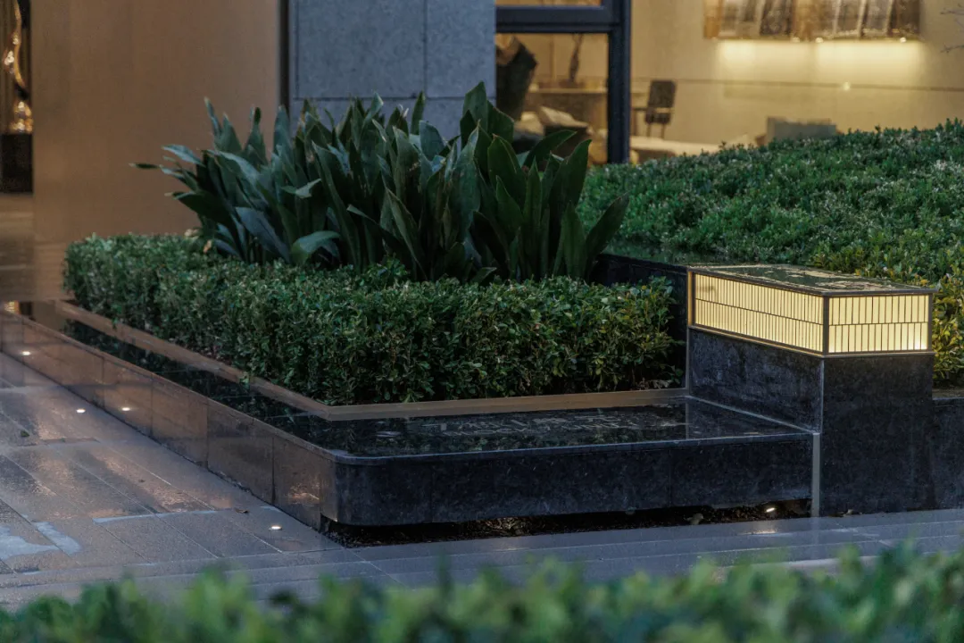 1737097165613761.jpg 1737097151812.jpg