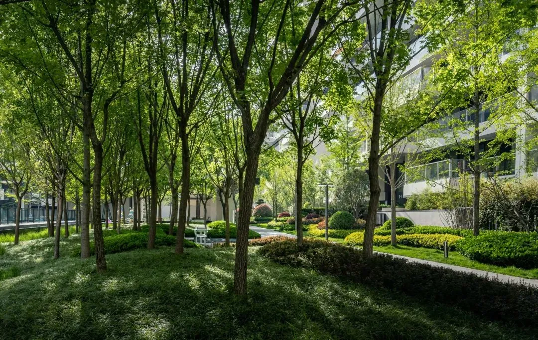 1737102921201681.jpg 1737102905725.jpg