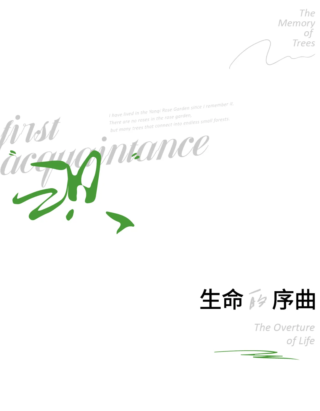 1737103072134630.jpg 1737103061748.jpg