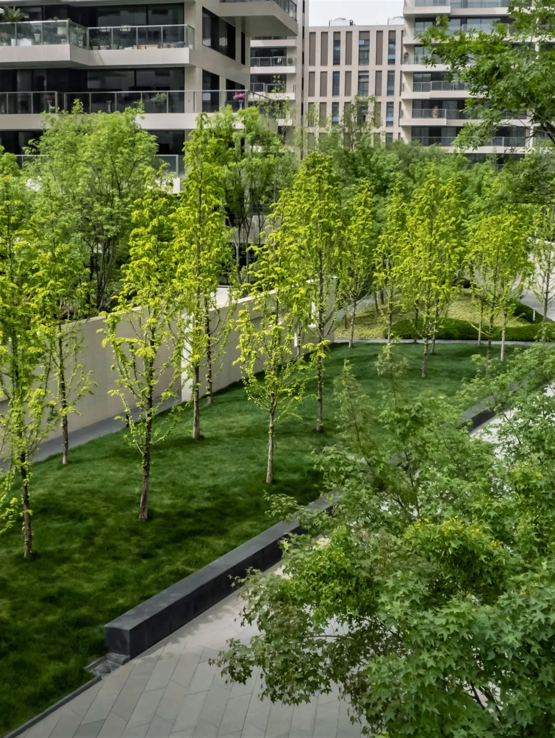 1737103092399120.jpg 1737103080875.jpg