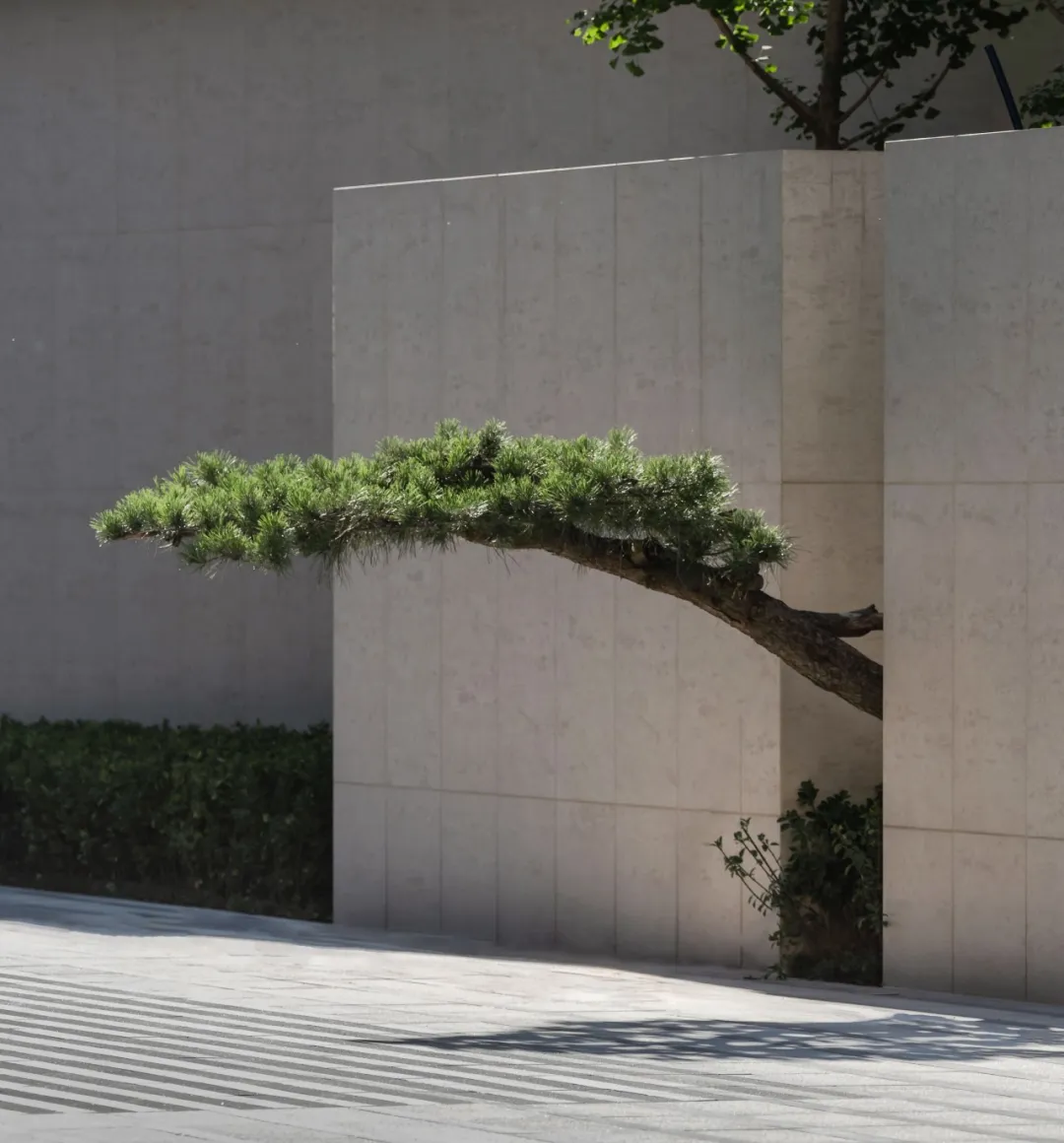 1737105099610030.jpg 1737105090791.jpg