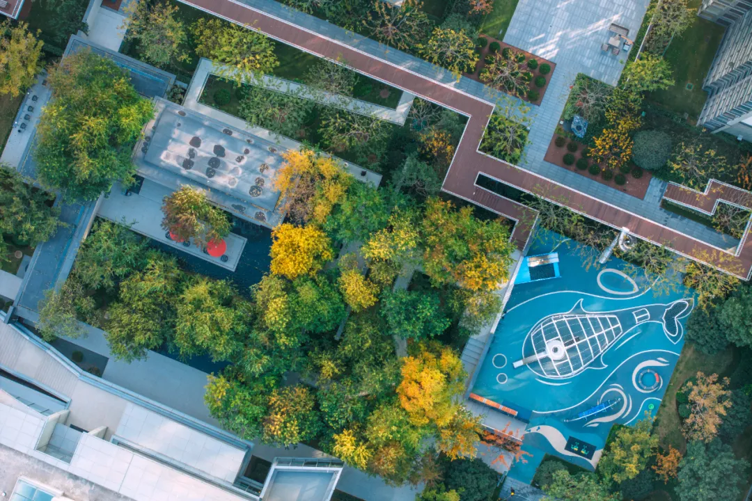 1737338690414039.jpg 1737338683663.jpg