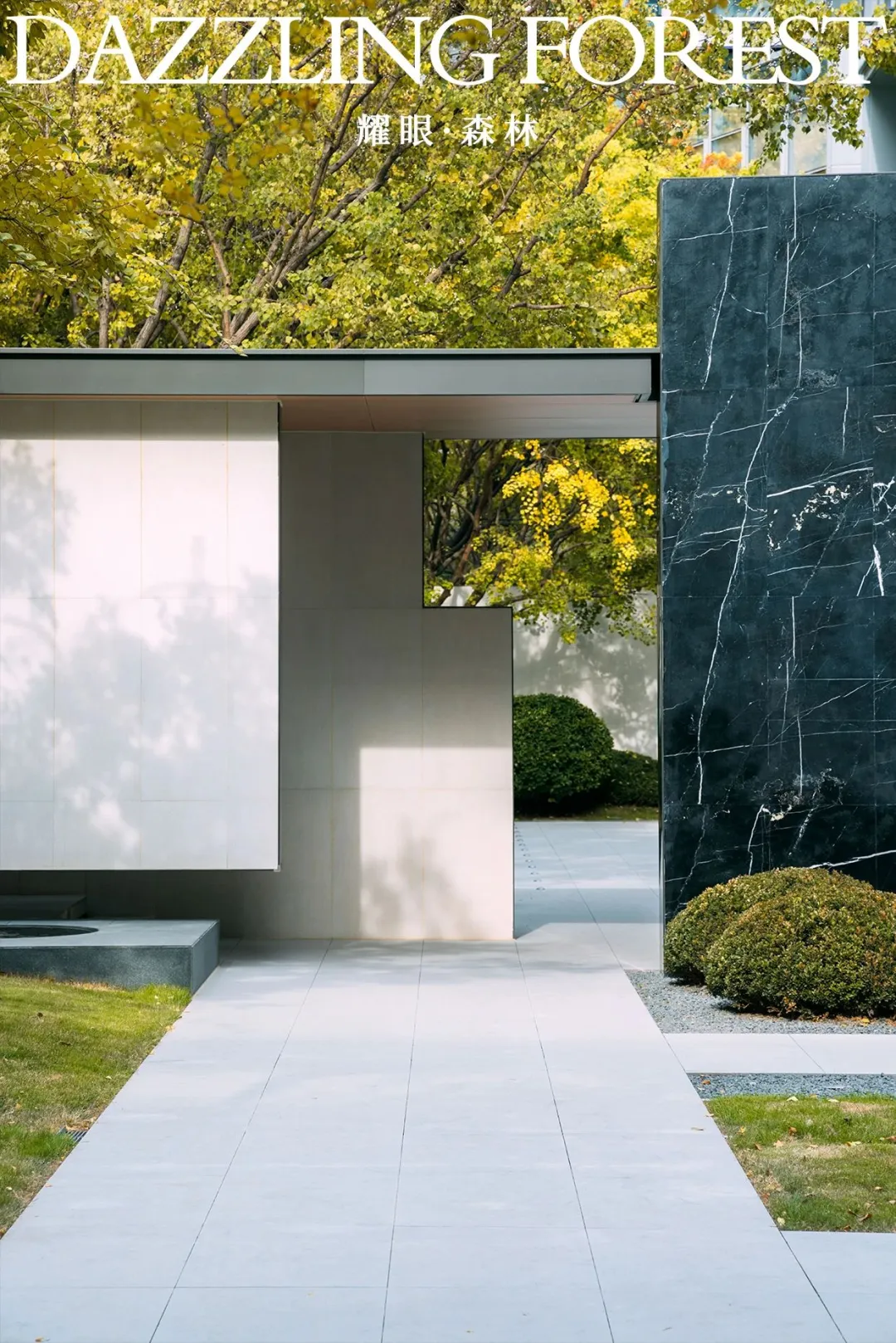 1737338703171883.jpg 1737338662571.jpg