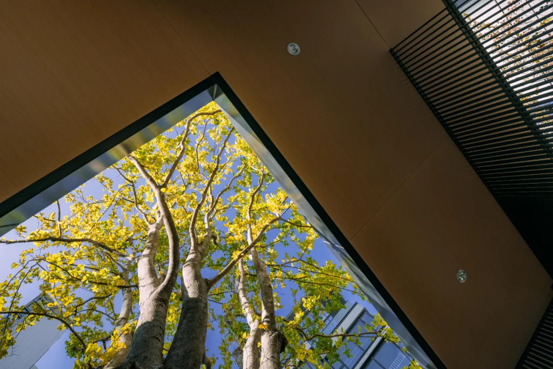 1737338710184279.jpg 1737338667998.jpg