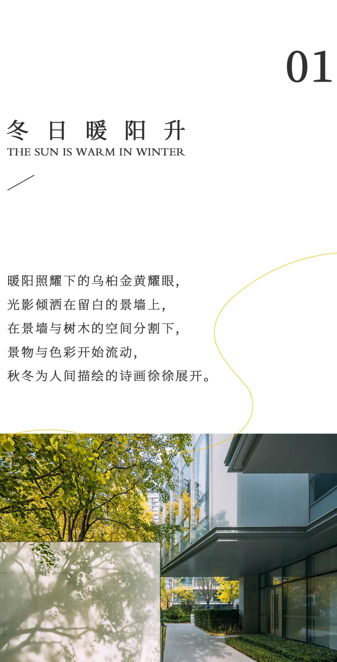 1737338808211964.jpg 1737338735387.jpg