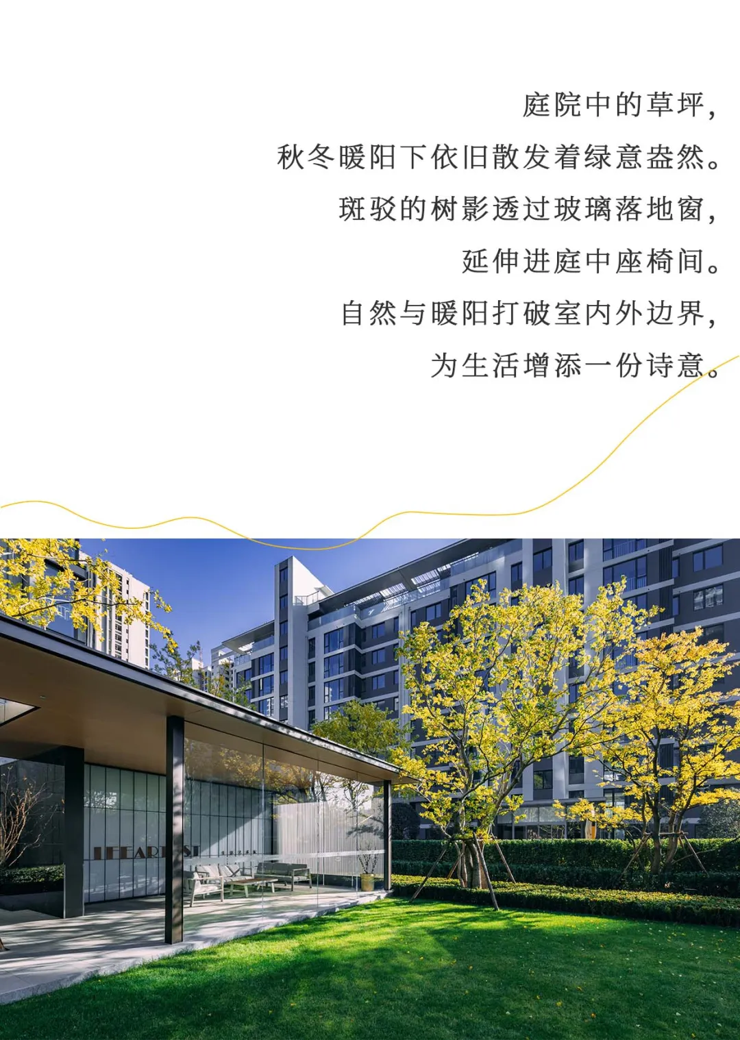 1737338824704772.jpg 1737338741104.jpg