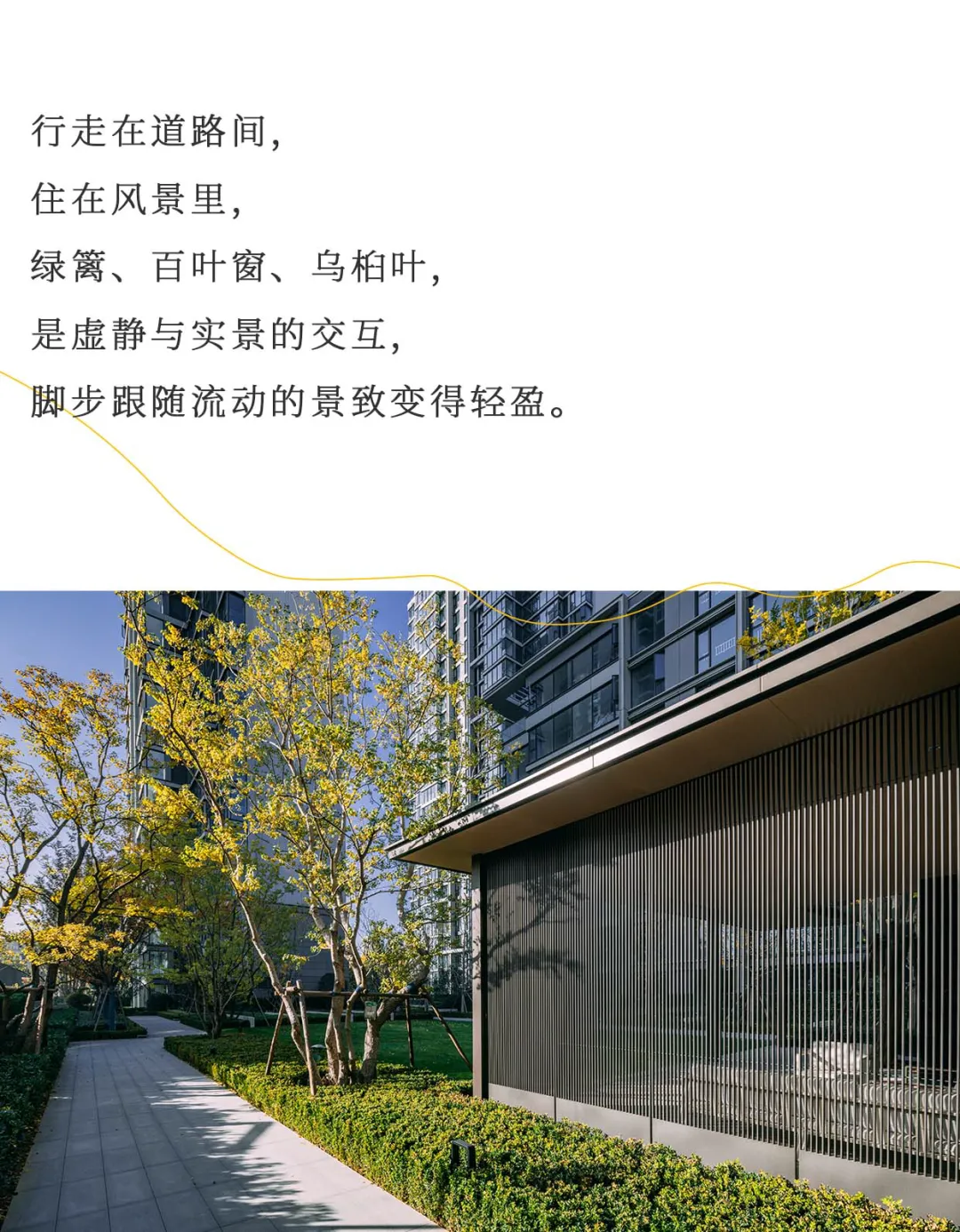 1737338832929813.jpg 1737338748165.jpg