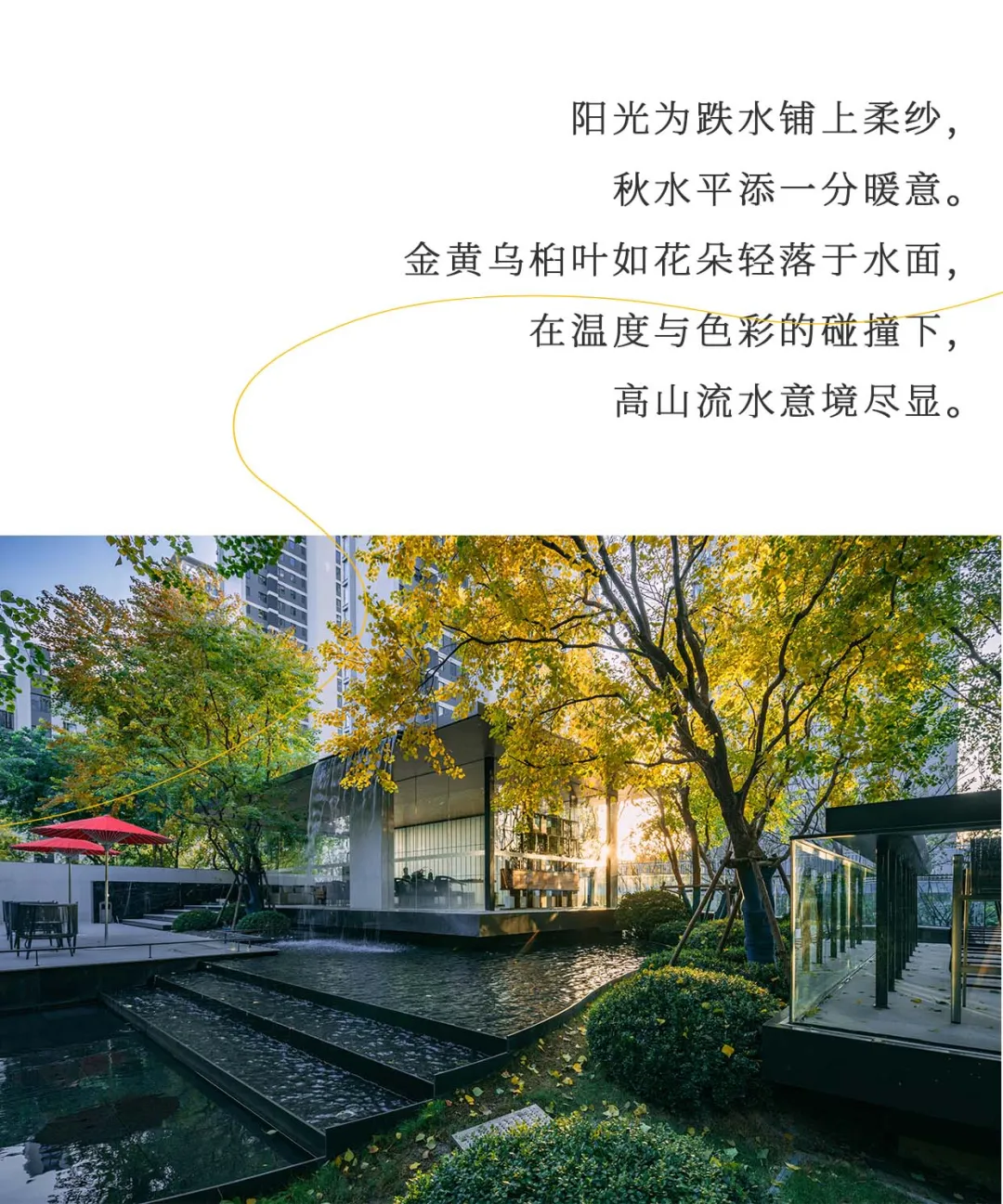 1737338840250354.jpg 1737338754727.jpg