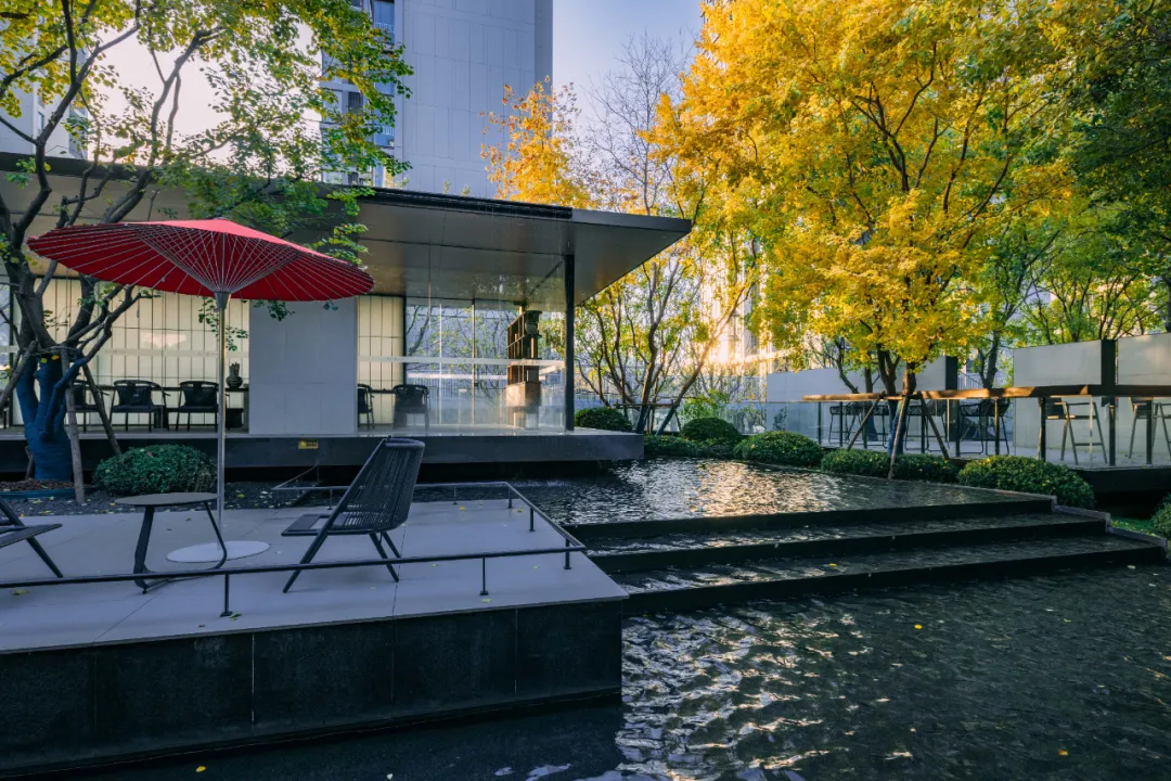 1737338844124828.jpg 1737338759461.jpg