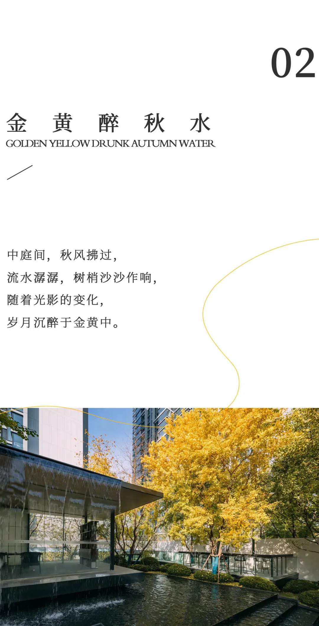 1737338890118087.jpg 1737338843729.jpg