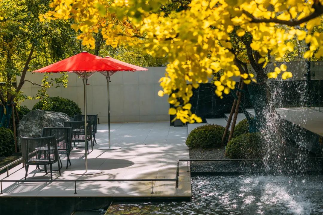 1737338912633047.jpg 1737338865490.jpg