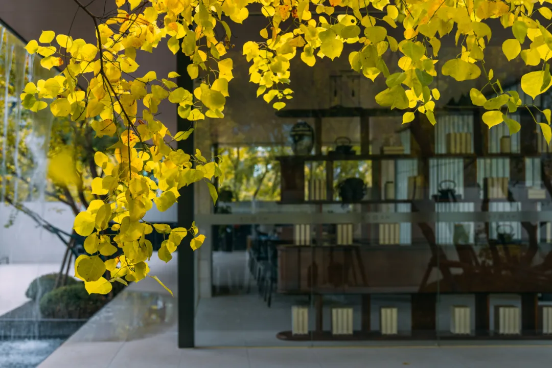 1737338920119594.jpg 1737338872316.jpg