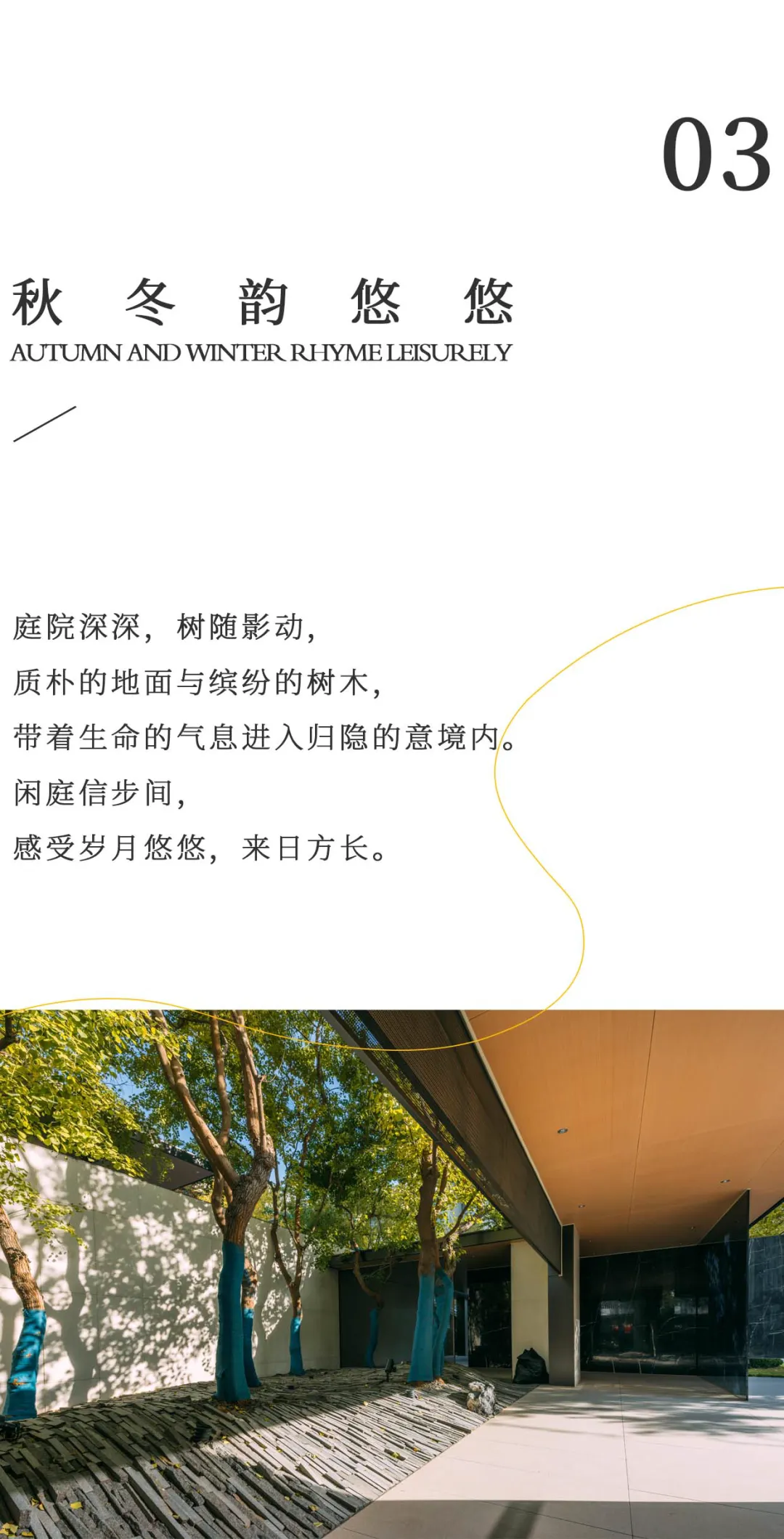 1737339006186573.jpg 1737338967203.jpg