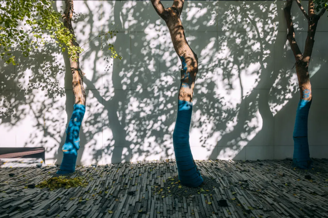 1737339010556977.jpg 1737338971016.jpg