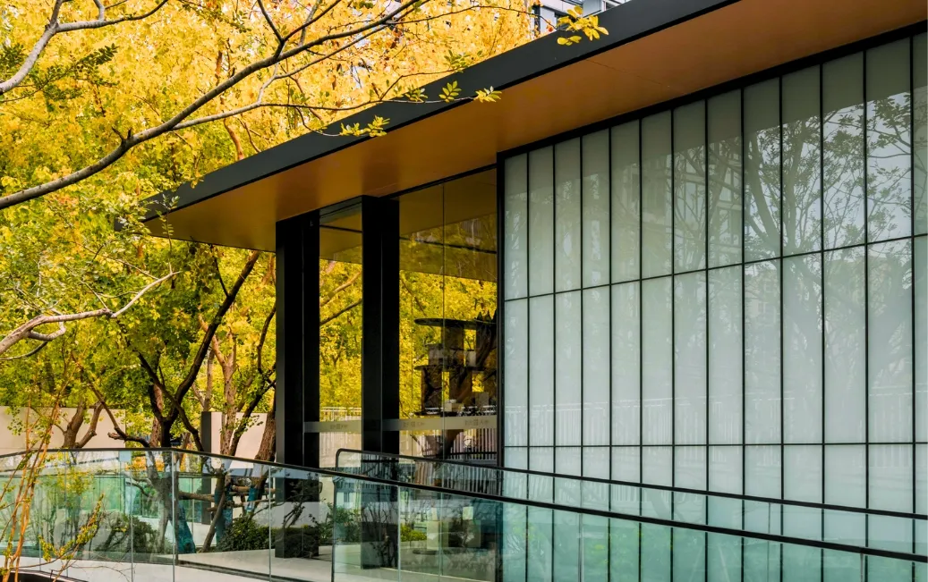 1737339020129845.jpg 1737338977043.jpg