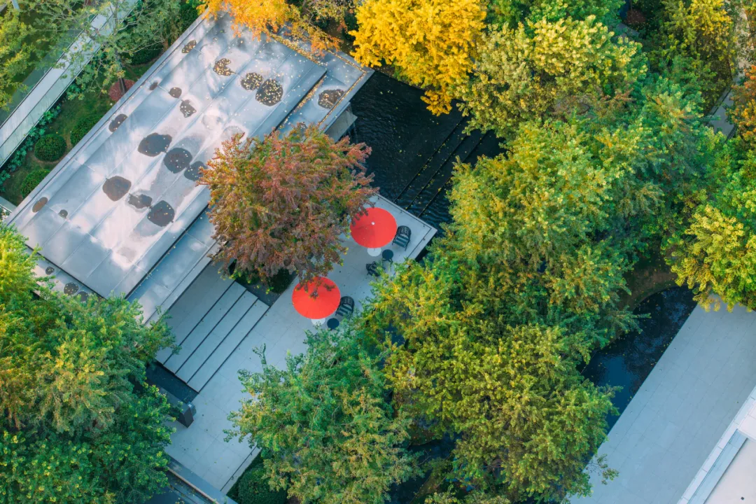 1737339077185471.jpg 1737339063642.jpg