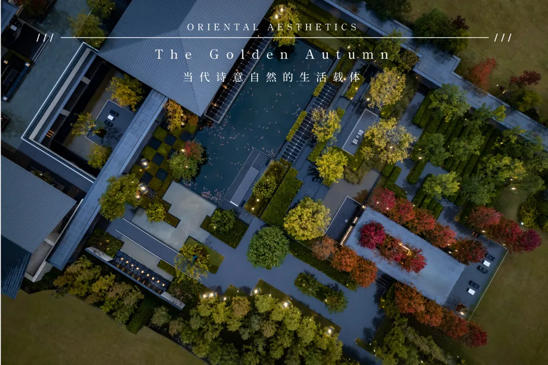 1737340860416129.jpg 1737340818063.jpg