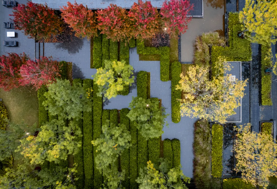 1737340885181347.jpg 1737340842931.jpg